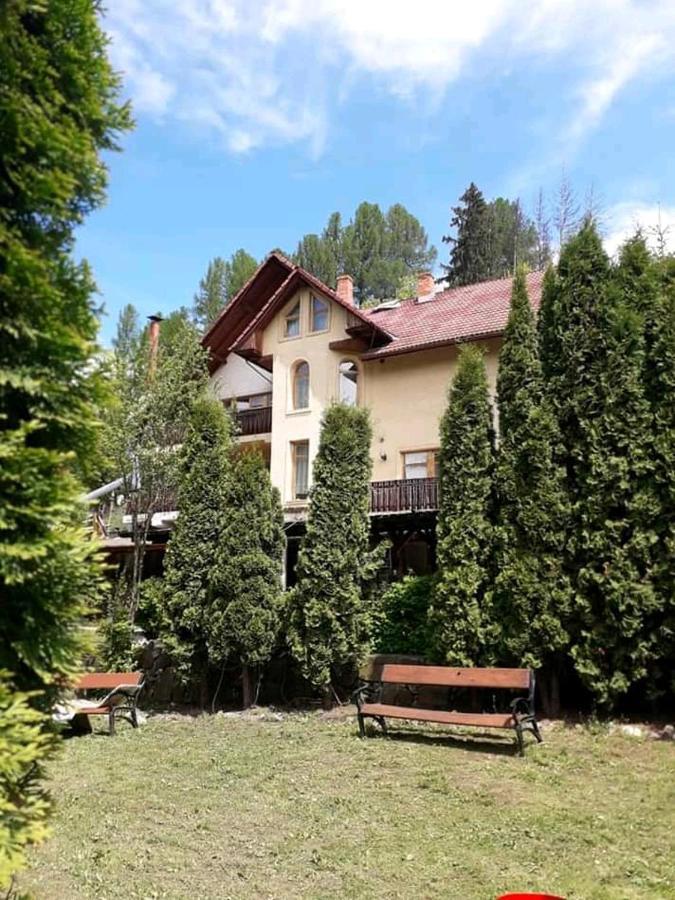 Vila Iulia Vatra Dornei Exterior foto