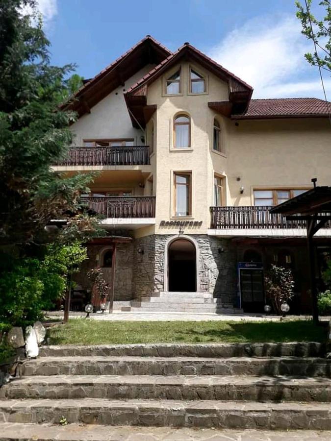 Vila Iulia Vatra Dornei Exterior foto