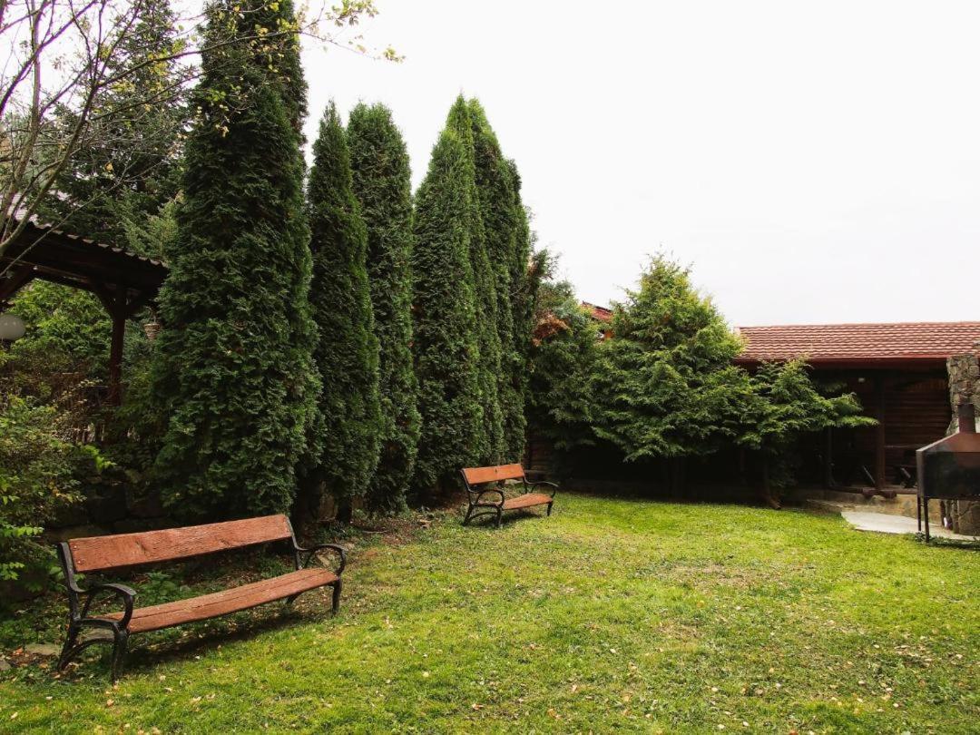 Vila Iulia Vatra Dornei Exterior foto