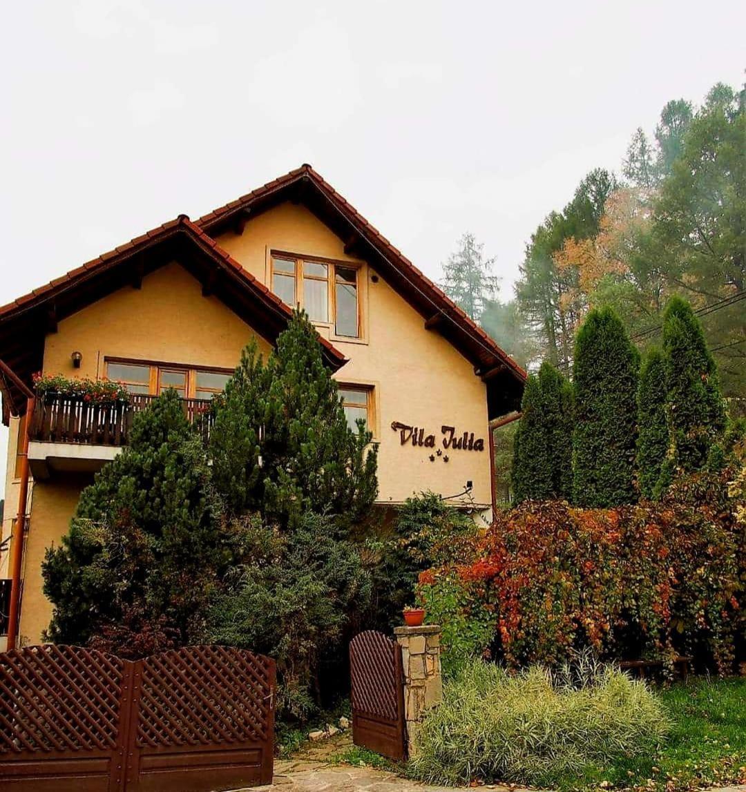 Vila Iulia Vatra Dornei Exterior foto